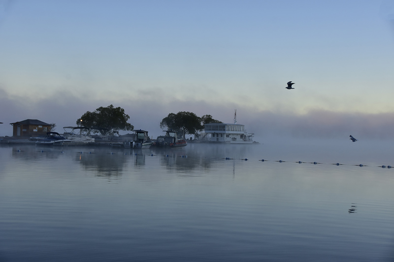 Morning Fog by Darlene Perkin